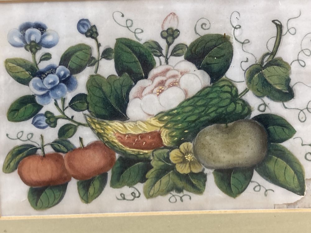 Three Cantonese pith paper paintings, depicting flowers and insects